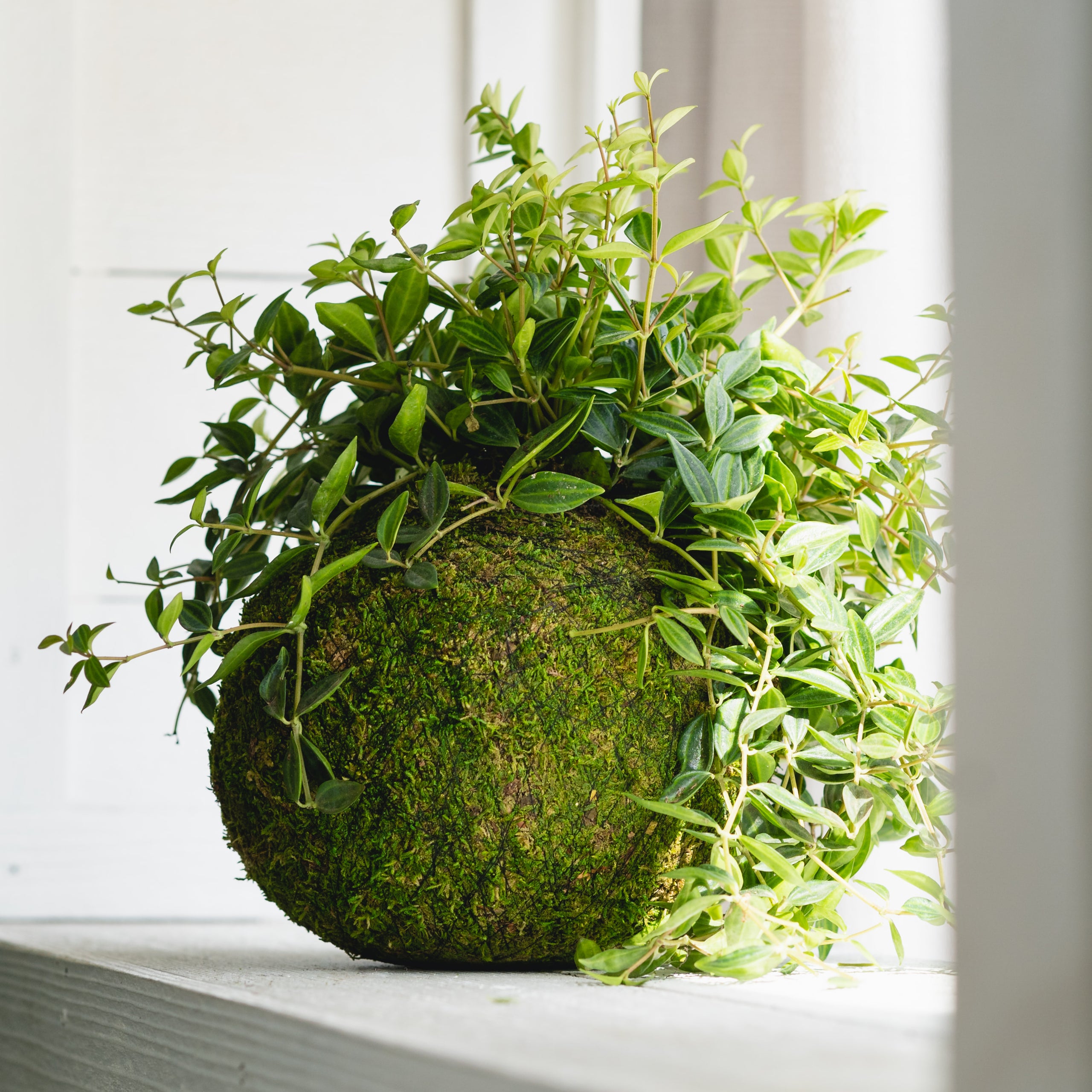 1 1 2 1 3 7 1 1 2 1 3 7